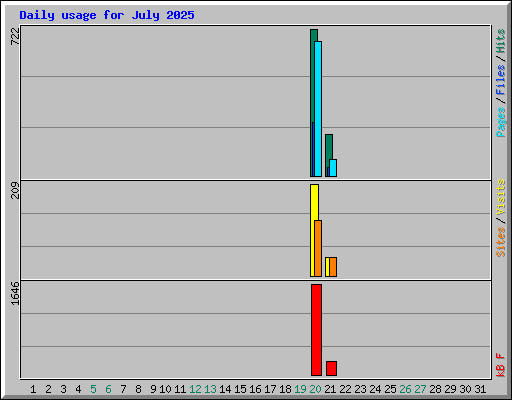 Daily usage for July 2025
